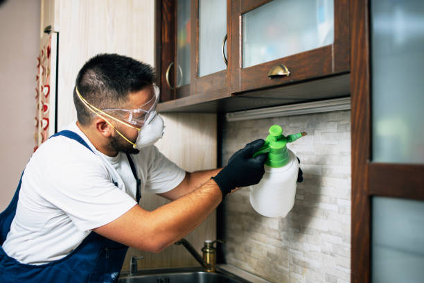 Flea Control Services in Marion, SC