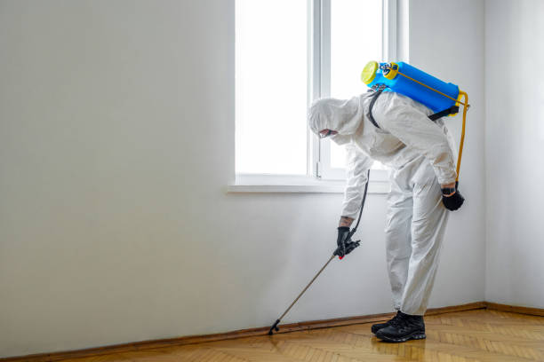 Best Flea Control Services  in Marion, SC