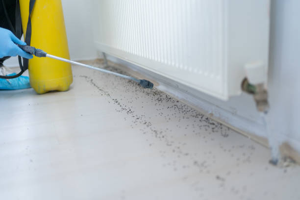 Best Wildlife Control Services  in Marion, SC
