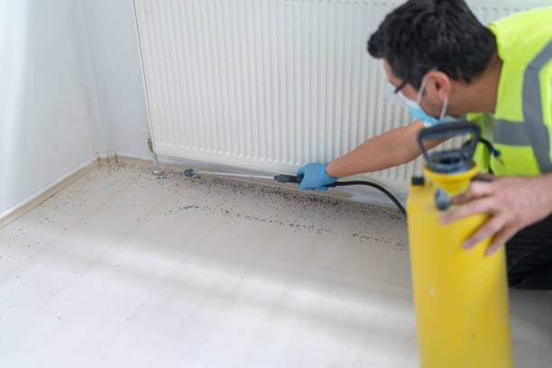 Pest Control for Restaurants in Marion, SC