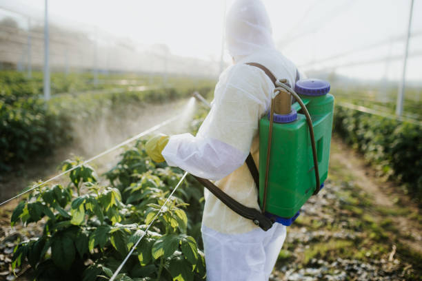 Best Cockroach Control Services  in Marion, SC